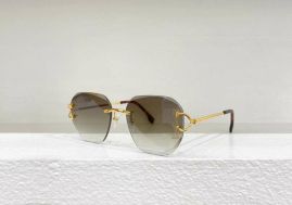 Picture of Cartier Sunglasses _SKUfw55246211fw